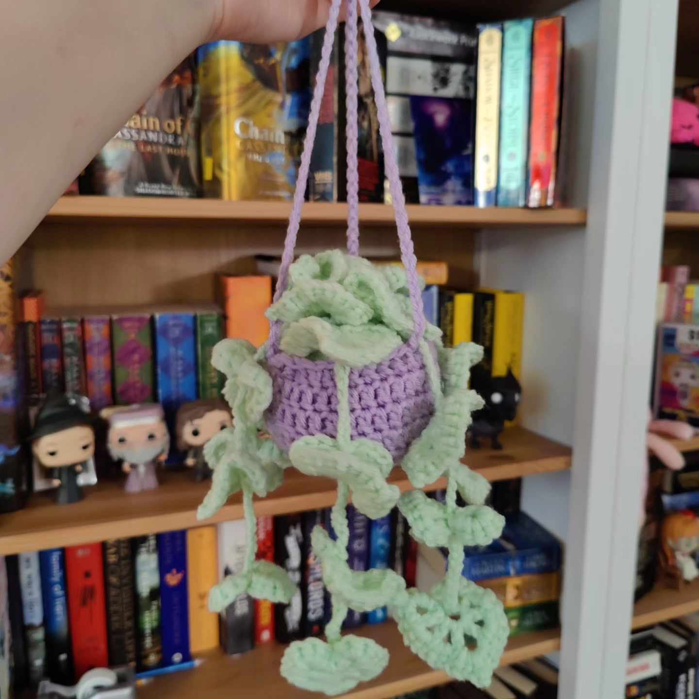 Crochet Hanging Plant