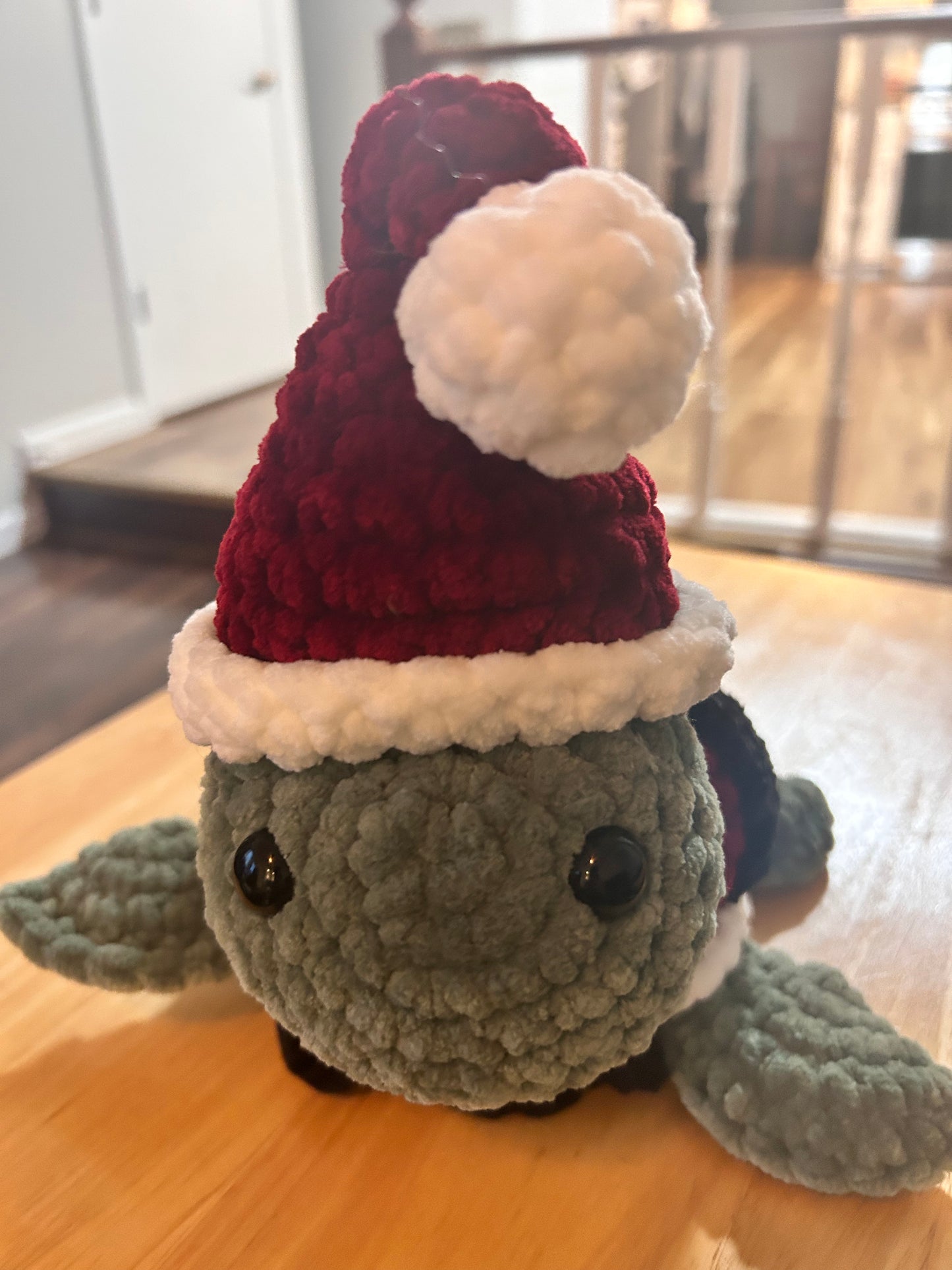 Santa Turtle